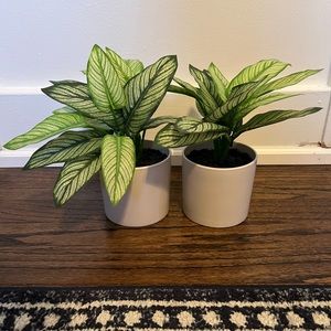 Matching faux plants
